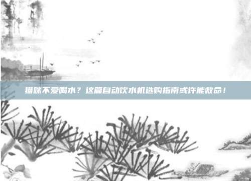 猫咪不爱喝水？这篇自动饮水机选购指南或许能救命！