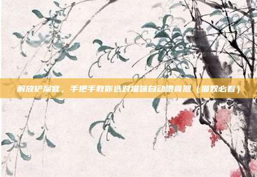 解放铲屎官，手把手教你选对猫咪自动喂食器（猫奴必看）