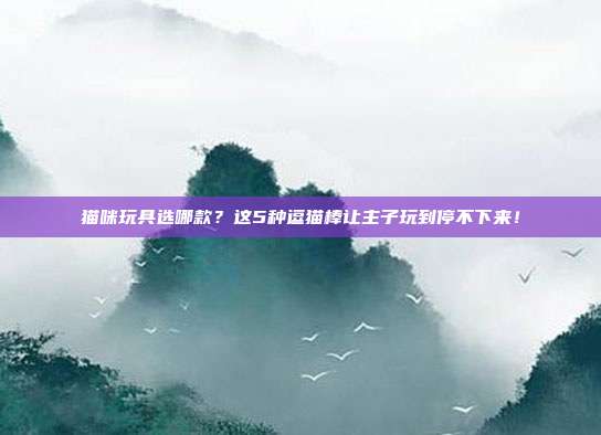 猫咪玩具选哪款？这5种逗猫棒让主子玩到停不下来！