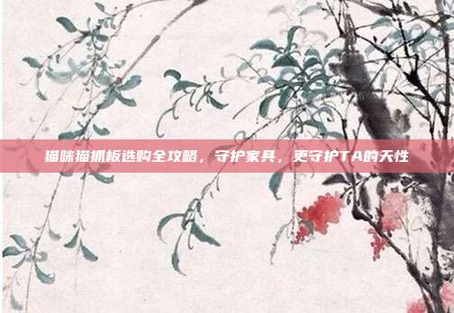 猫咪猫抓板选购全攻略，守护家具，更守护TA的天性