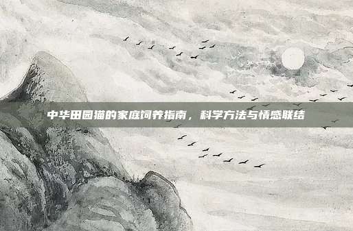 中华田园猫的家庭饲养指南，科学方法与情感联结
