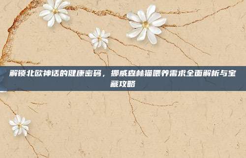 解锁北欧神话的健康密码，挪威森林猫喂养需求全面解析与宝藏攻略