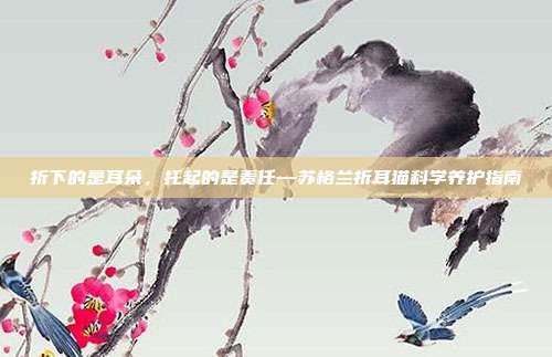 折下的是耳朵，托起的是责任—苏格兰折耳猫科学养护指南