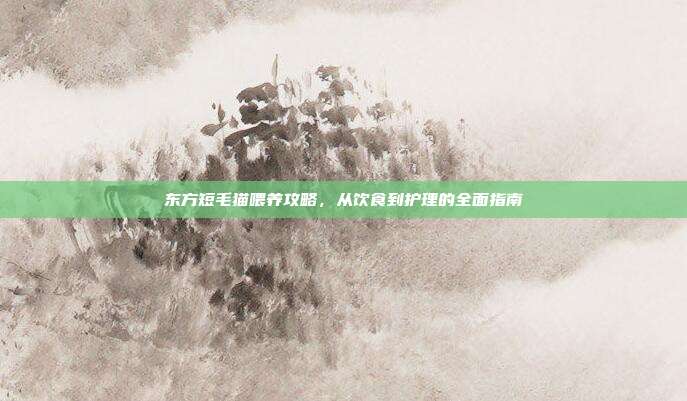 东方短毛猫喂养攻略，从饮食到护理的全面指南