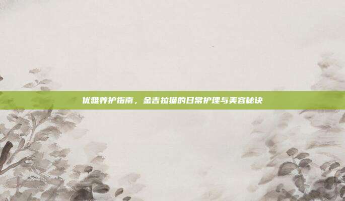 优雅养护指南，金吉拉猫的日常护理与美容秘诀
