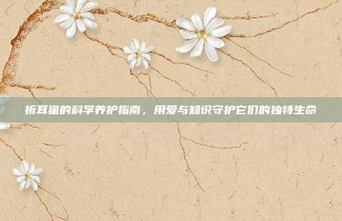 折耳猫的科学养护指南，用爱与知识守护它们的独特生命