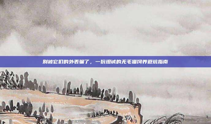 别被它们的外表骗了，一份坦诚的无毛猫饲养避坑指南