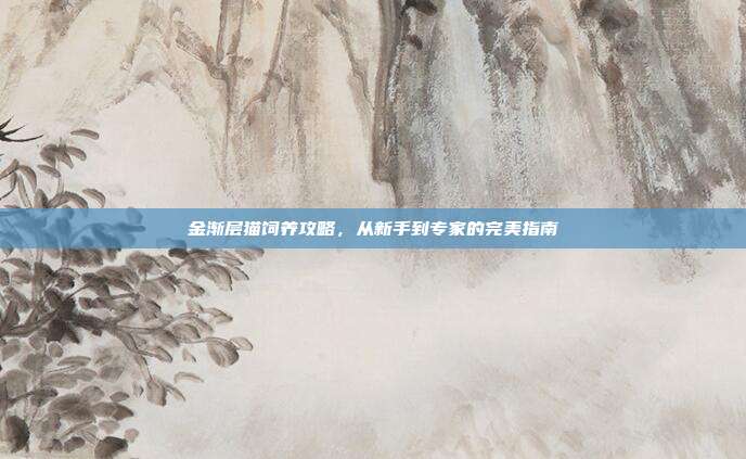 金渐层猫饲养攻略，从新手到专家的完美指南