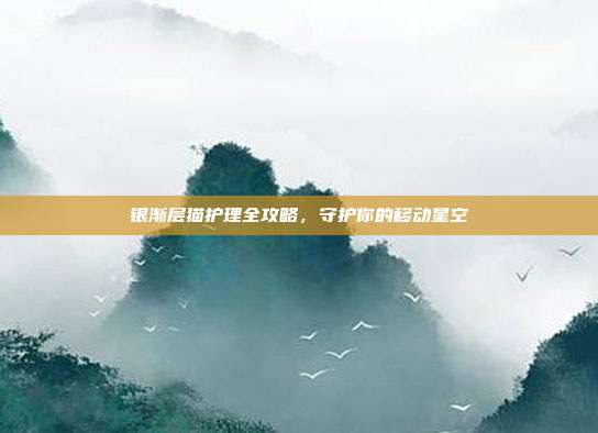 银渐层猫护理全攻略，守护你的移动星空