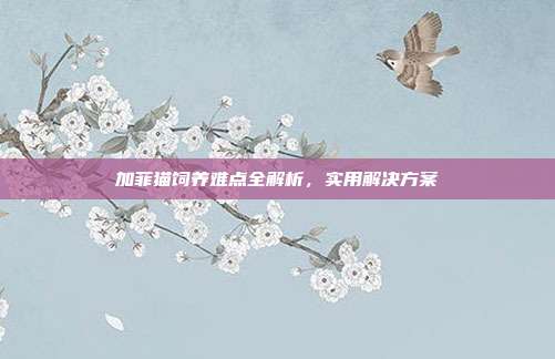 加菲猫饲养难点全解析，实用解决方案