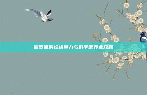 暹罗猫的性格魅力与科学喂养全攻略