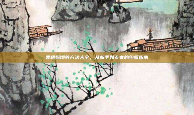 美短猫饲养方法大全，从新手到专家的终极指南