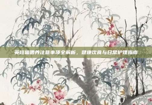 英短猫喂养注意事项全解析，健康饮食与日常护理指南