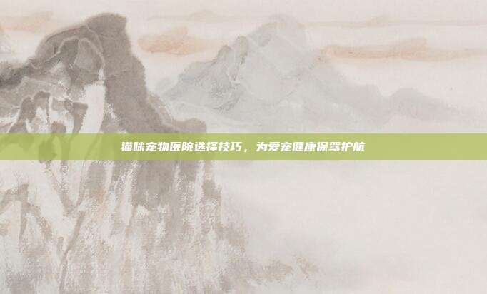 猫咪宠物医院选择技巧，为爱宠健康保驾护航