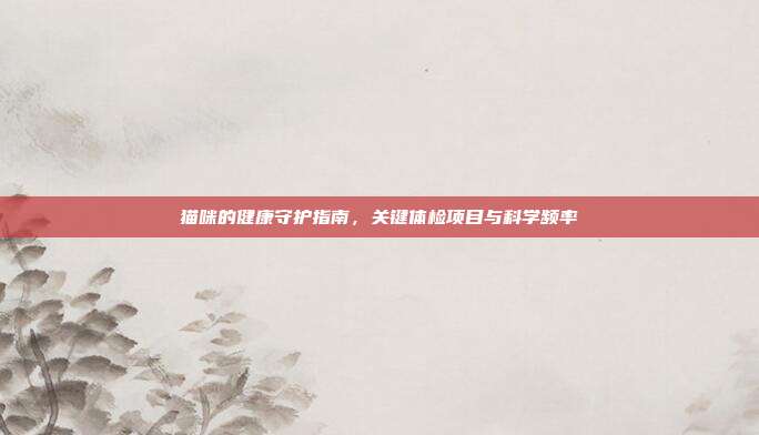 猫咪的健康守护指南，关键体检项目与科学频率