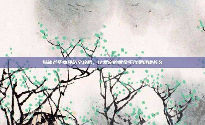 猫咪老年病预防全攻略，让爱宠的黄金年代更健康长久