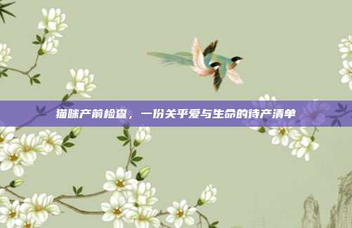 猫咪产前检查，一份关乎爱与生命的待产清单
