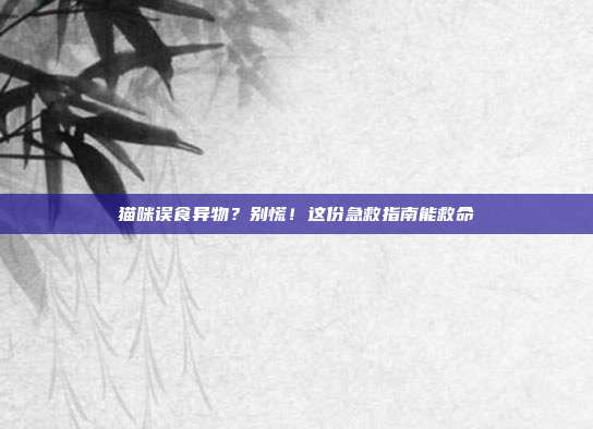 猫咪误食异物？别慌！这份急救指南能救命