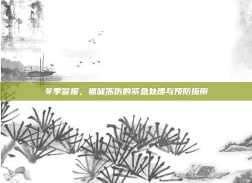 冬季警报，猫咪冻伤的紧急处理与预防指南