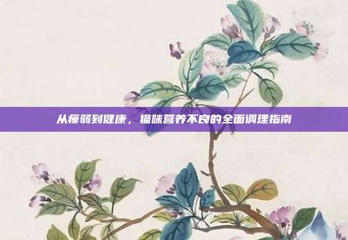从瘦弱到健康，猫咪营养不良的全面调理指南