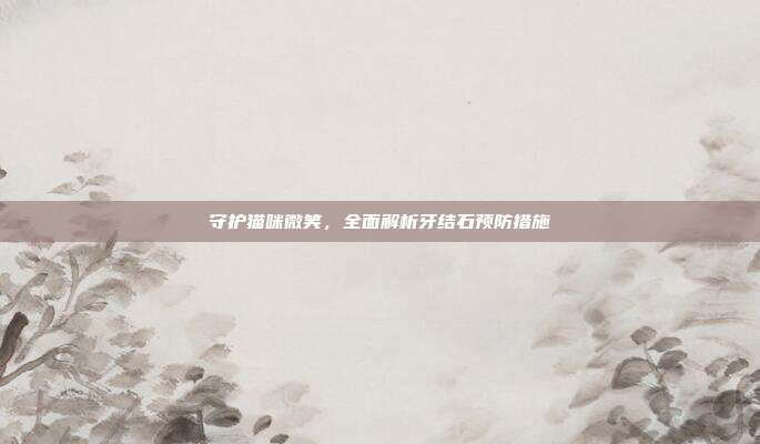 守护猫咪微笑，全面解析牙结石预防措施