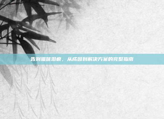 告别猫咪泪痕，从成因到解决方案的完整指南