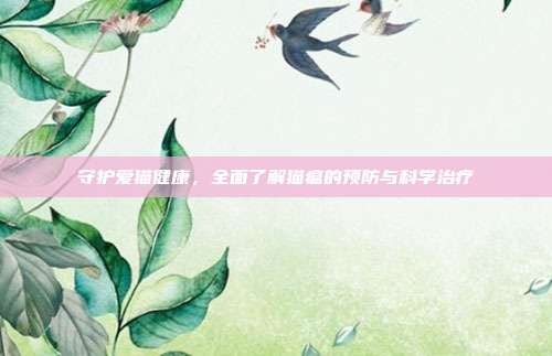 守护爱猫健康，全面了解猫瘟的预防与科学治疗
