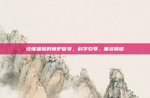 读懂猫咪的嫉妒信号，科学引导，重获和谐