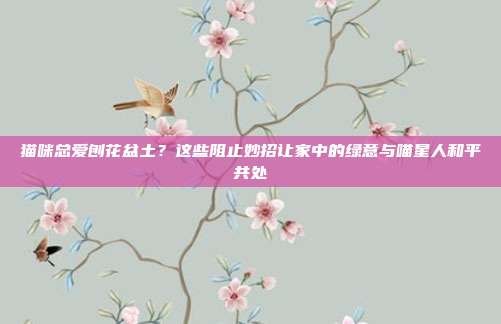 猫咪总爱刨花盆土？这些阻止妙招让家中的绿意与喵星人和平共处