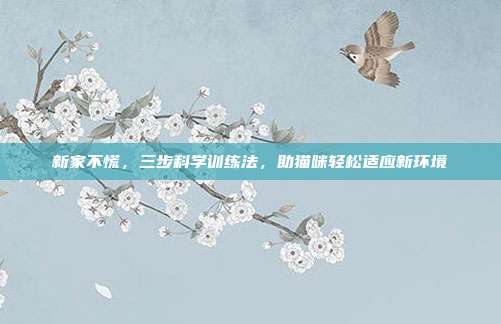 新家不慌，三步科学训练法，助猫咪轻松适应新环境