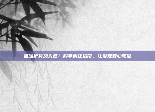 猫咪护食别头疼！科学纠正指南，让爱宠安心吃饭