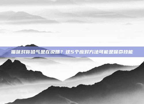 猫咪对你哈气是在说啥？这5个应对方法可能是保命技能