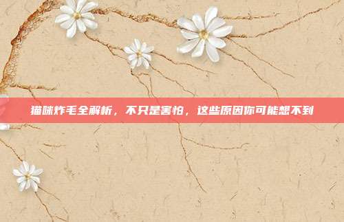 猫咪炸毛全解析，不只是害怕，这些原因你可能想不到