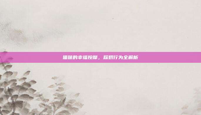 猫咪的幸福按摩，踩奶行为全解析
