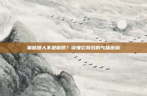 猫咪蹭人不是撒娇？读懂它背后的气味密码