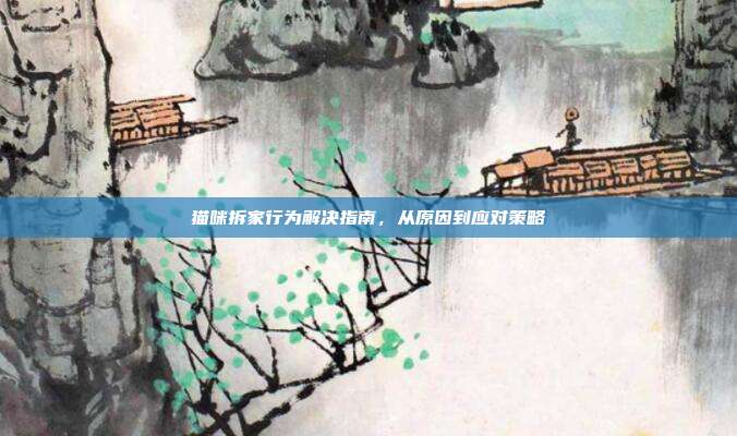 猫咪拆家行为解决指南，从原因到应对策略
