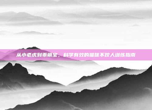 从小老虎到乖萌宝，科学有效的猫咪不咬人训练指南