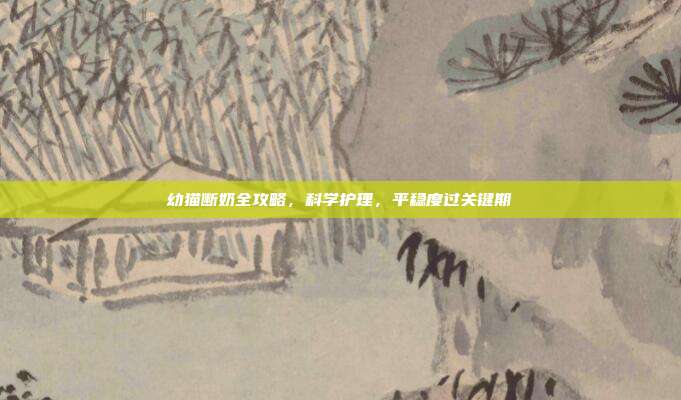 幼猫断奶全攻略，科学护理，平稳度过关键期