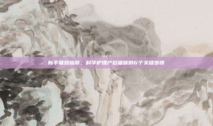 新手猫妈指南，科学护理产后猫咪的6个关键步骤