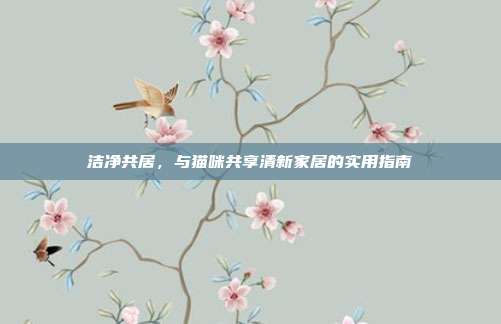 洁净共居，与猫咪共享清新家居的实用指南
