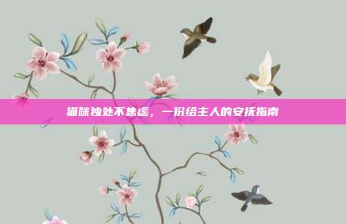 猫咪独处不焦虑，一份给主人的安抚指南