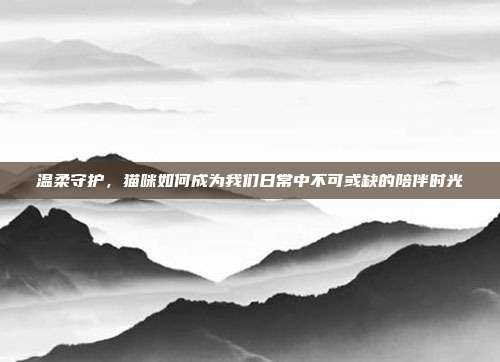 温柔守护，猫咪如何成为我们日常中不可或缺的陪伴时光