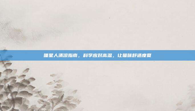 喵星人清凉指南，科学应对高温，让猫咪舒适度夏