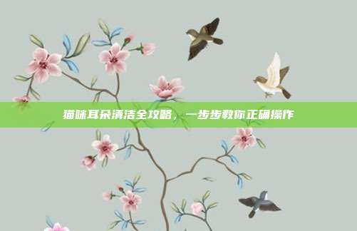 猫咪耳朵清洁全攻略，一步步教你正确操作