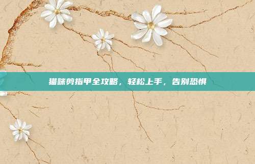 猫咪剪指甲全攻略，轻松上手，告别恐惧