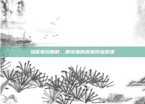 当警报拉响时，解读猫的应激反应原理