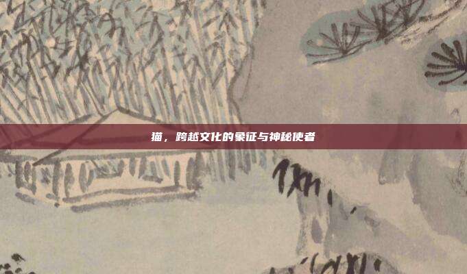 猫，跨越文化的象征与神秘使者