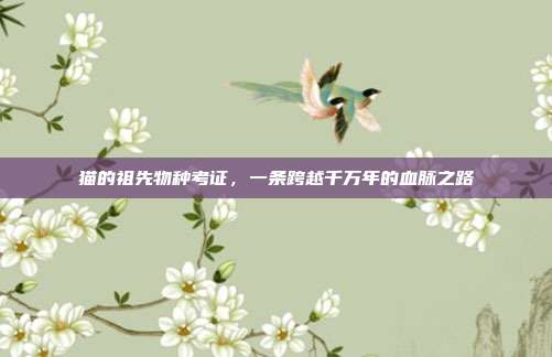 猫的祖先物种考证，一条跨越千万年的血脉之路