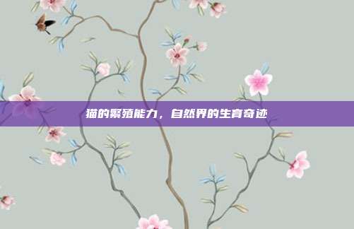 猫的繁殖能力，自然界的生育奇迹