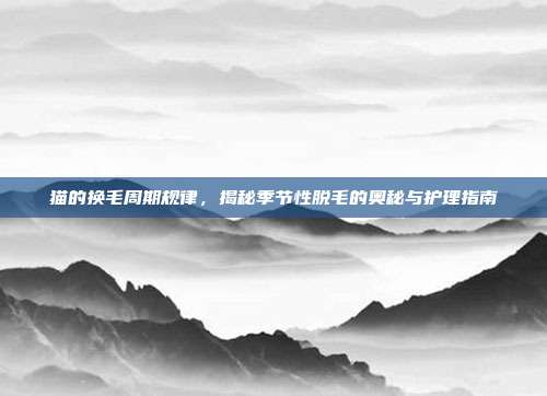 猫的换毛周期规律，揭秘季节性脱毛的奥秘与护理指南